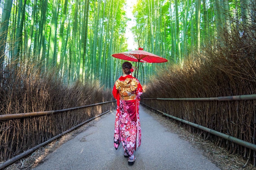 Picture 8 for Activity Kyoto: Arashiyama Bamboo Forest, Monkeys, Temple & Secrets
