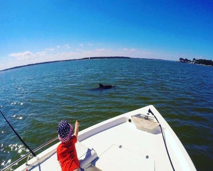 Picture 2 for Activity Hilton Head Island: Private Dolphin Watching Boat Tour