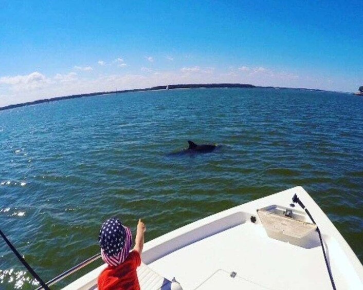 Picture 2 for Activity Hilton Head Island: Private Dolphin Watching Boat Tour