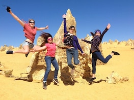 Pinnacles, Sandboarding and Swan Valley Wildlife Park Tour