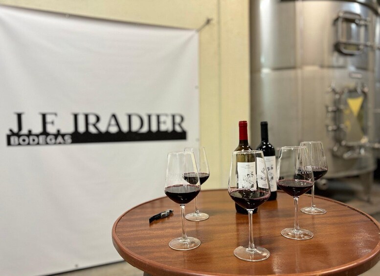 Guided tour of Bodegas J.F. Iradier, Rioja Alavesa