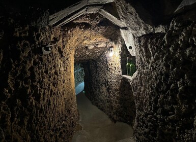 Guided tour of Bodegas J.F. Iradier, Rioja Alavesa