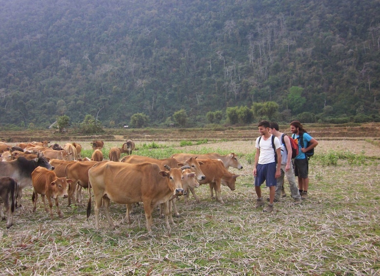 Picture 3 for Activity Vang Vieng: Jungle & Caves Full-Day Private Trekking Tour