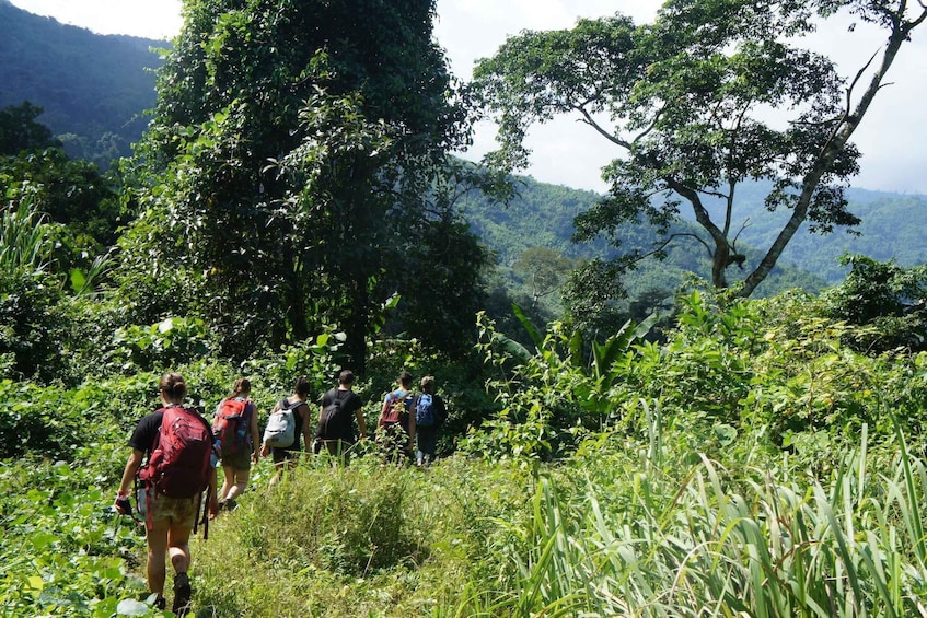 Picture 5 for Activity Vang Vieng: Jungle & Caves Full-Day Private Trekking Tour