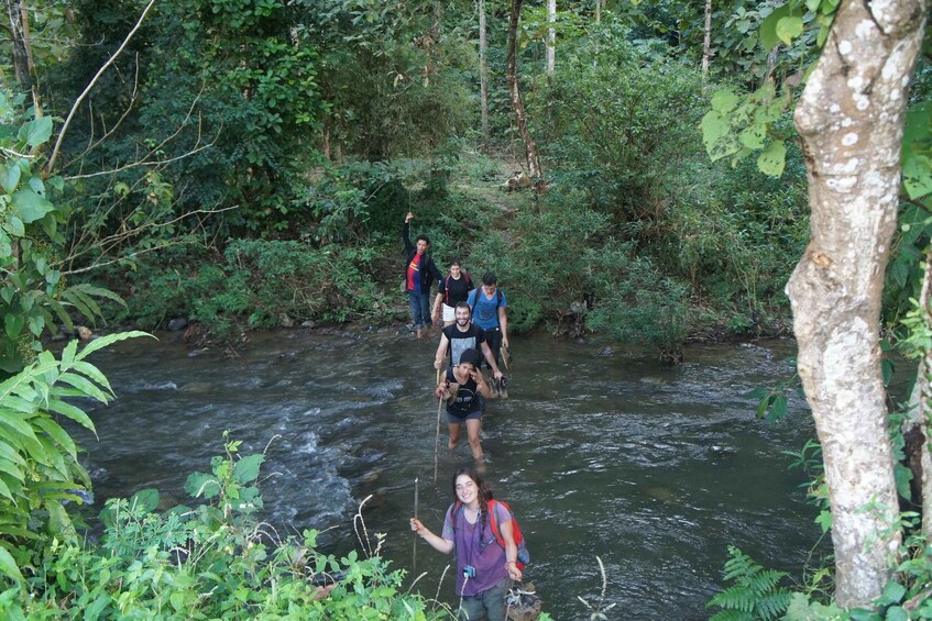 Picture 6 for Activity Vang Vieng: Jungle & Caves Full-Day Private Trekking Tour