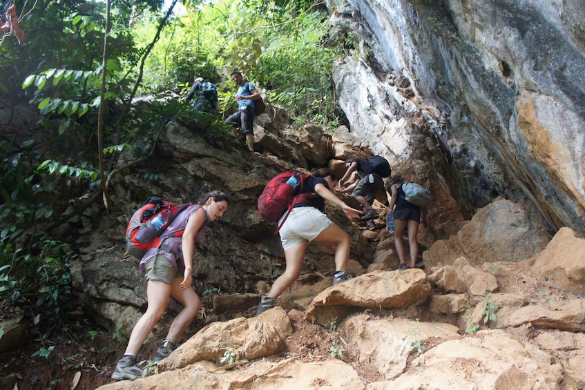 Picture 4 for Activity Vang Vieng: Jungle & Caves Full-Day Private Trekking Tour