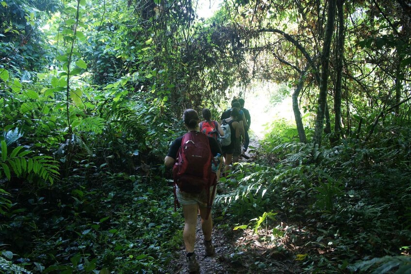 Picture 1 for Activity Vang Vieng: Jungle & Caves Full-Day Private Trekking Tour