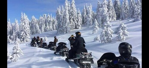 Bucharest: Carpathian Snowmobile Adventure Tour