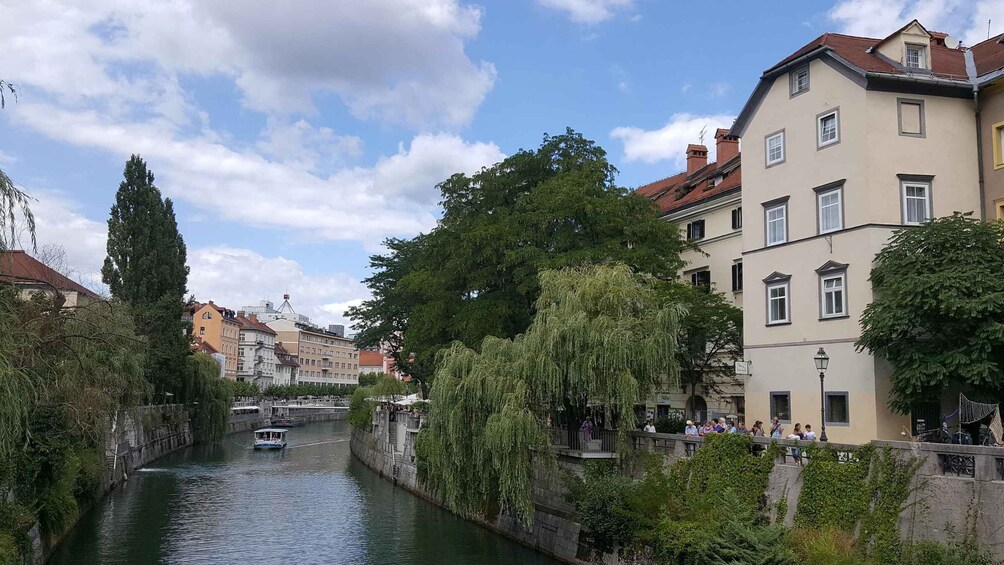 Picture 4 for Activity Ljubljana: Walking tour with licensed guide