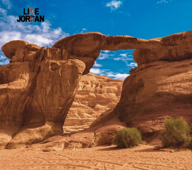 Picture 4 for Activity From Aqaba: Wadi Rum Full-Day Private Jeep Tour with Dinner