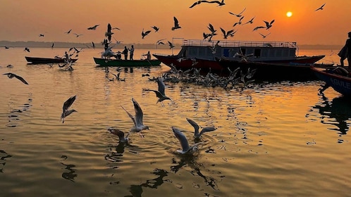 From Varanasi: 3 Days Varanasi Prayagraj Tour