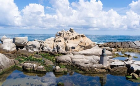 Seoul: Gangneung from K-Pop Band Bus Stop to Anmok Beach