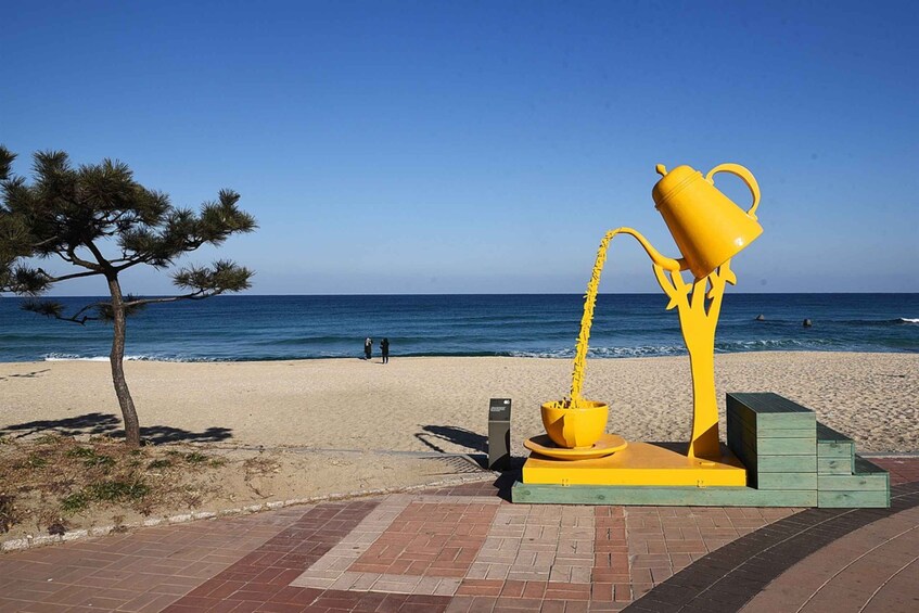 Picture 30 for Activity Seoul: Gangneung delights from BTS Bus Stop to Anmok Beach