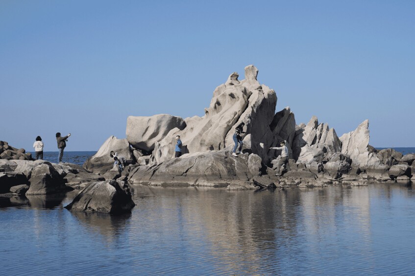 Picture 14 for Activity Seoul: Gangneung from K-Pop Band Bus Stop to Anmok Beach