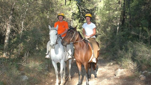 Marmaris nasjonalpark: Hestesafari