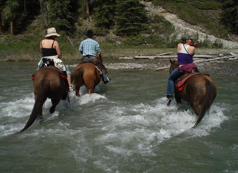 Picture 2 for Activity Marmaris National Park: Horse Safari