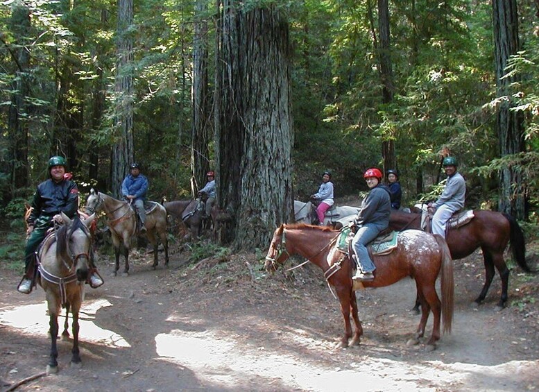 Picture 3 for Activity Marmaris National Park: Horse Safari