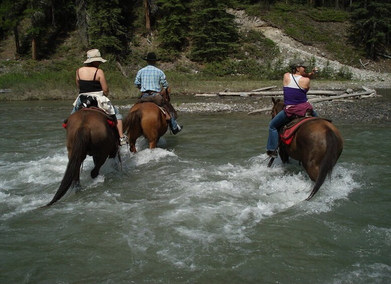 Picture 2 for Activity Marmaris National Park: Horse Safari