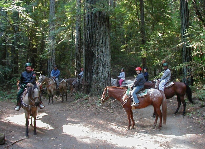 Picture 3 for Activity Marmaris National Park: Horse Safari