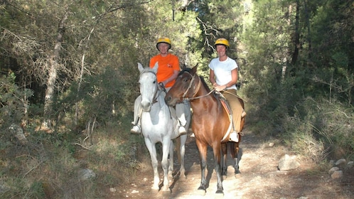 Parc national de Marmaris : safari à cheval