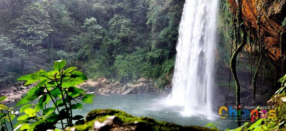 Picture 1 for Activity From Ocosingo: Palenque, Misol-ha and Agua Azul Private Tour