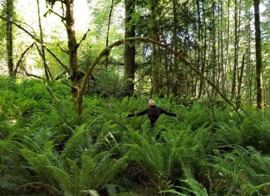 Tour místico por la selva tropical - Forest Magick