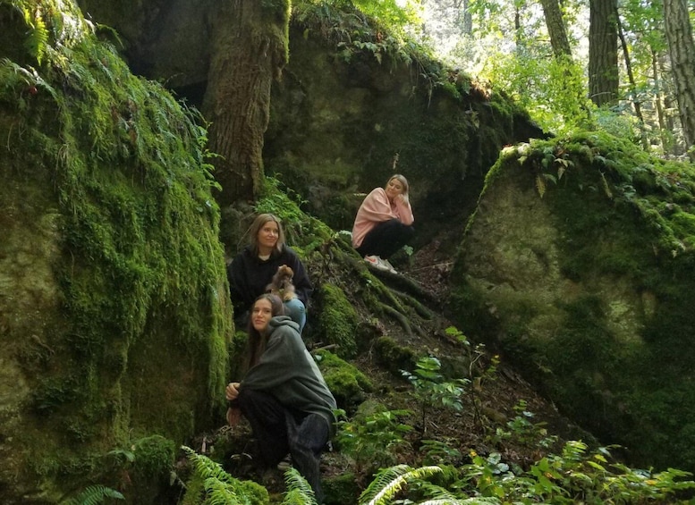 Picture 5 for Activity Mystical Rainforest Tour - Forest Magick