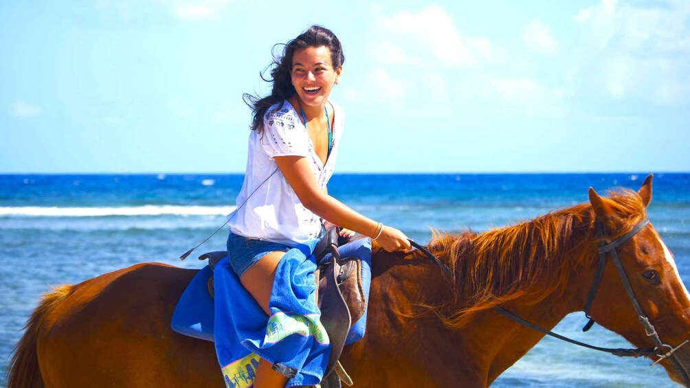 From Falmouth: Horseback Ride and Swim Beach Trip