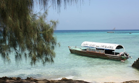 Zanzibar: Tour di un giorno intero dell'isola protetta di Chumbe w. Pranzo