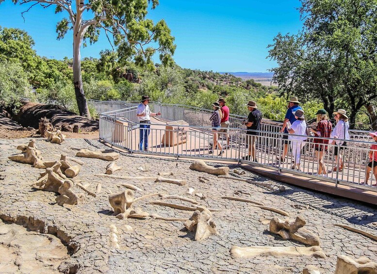 Picture 1 for Activity Age of Dinosaurs Museum Half Day Tour - RDT Guided Transfers