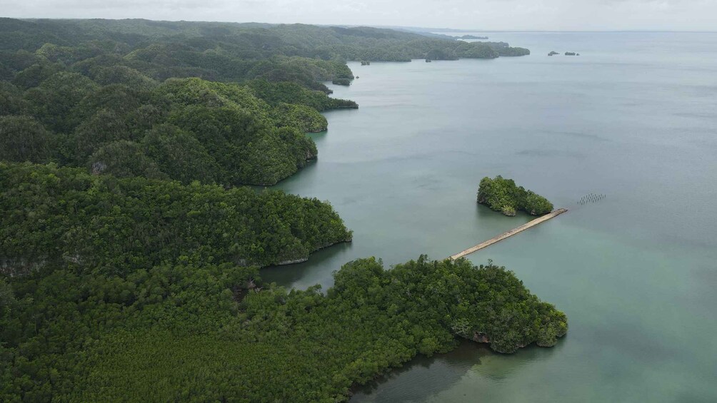 Picture 2 for Activity Las Terrenas: Los Haitises Boat and Walking Tour with Lunch