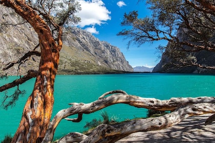 Excursion to Huascaran National Park + Chinancocha Lagoon