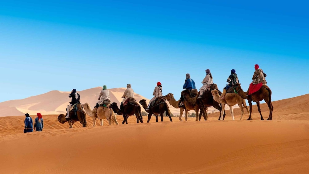 Picture 6 for Activity Tangier to Marrakech 5 Days : Chefchaouen, Fes and Desert