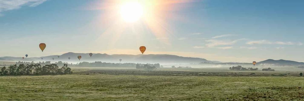 Picture 2 for Activity Yarra Valley: Hot Air Balloon Experience with Breakfast