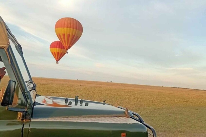 Picture 14 for Activity Maasai Mara: Hot Air Balloon Safari & Champagne Breakfast