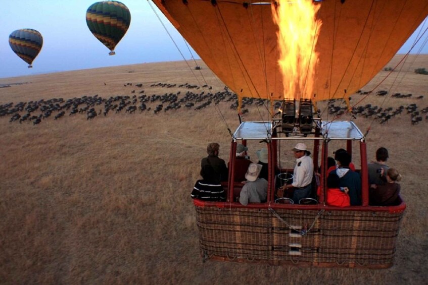 Picture 3 for Activity Maasai Mara: Hot Air Balloon Safari & Champagne Breakfast