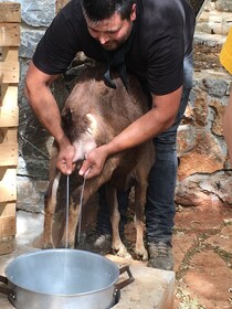 Rethymno : Explorez la cabane de berger et le processus de fabrication du f...