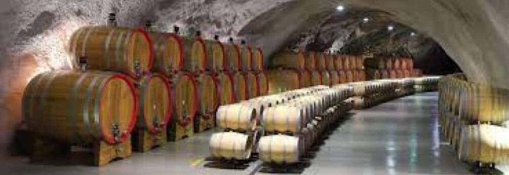 Picture 13 for Activity The largest winery in Montenegro: private tour & transport