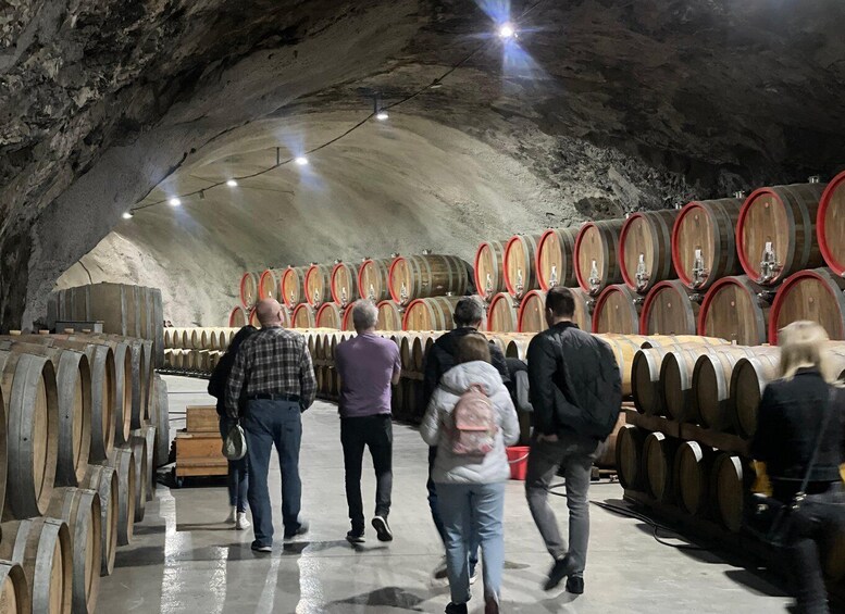 Picture 9 for Activity The largest winery in Montenegro: private tour & transport