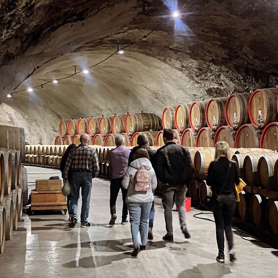 Picture 5 for Activity The largest winery in Montenegro: private tour & transport