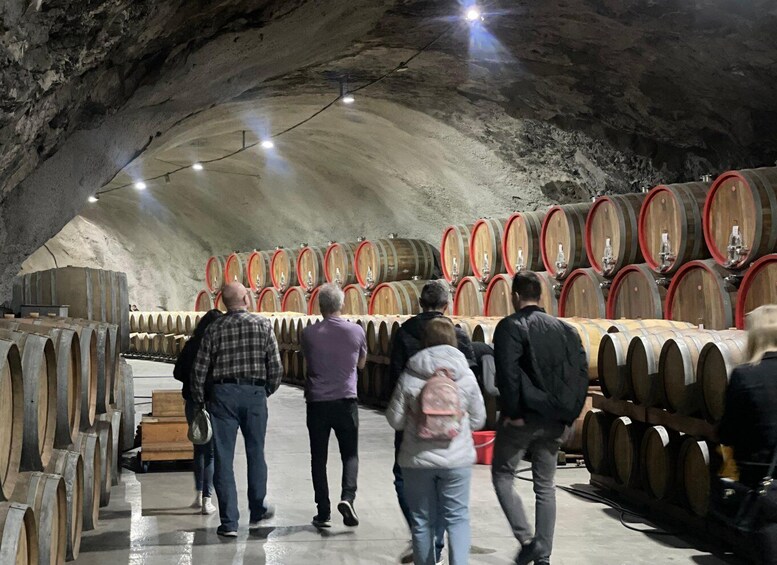 Picture 9 for Activity The largest winery in Montenegro: private tour & transport