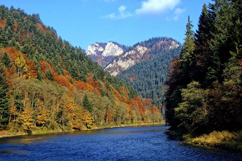 Picture 1 for Activity From Krakow: Dunajec River Rafting Private Tour