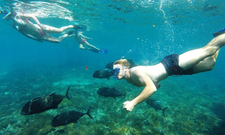 Picture 1 for Activity 4 Spot Snorkeling and Nusa Penida Tour Land
