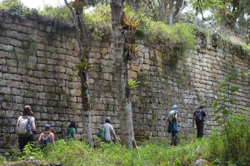 Picture 4 for Activity From Chachapoyas: Full-Day Tour to Kuelap Fortress