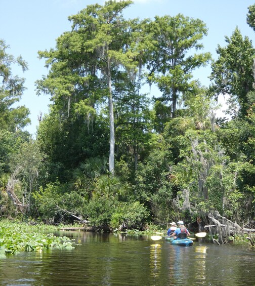 Picture 2 for Activity Orlando: Small Group Scenic Wekiva River Kayak Tour