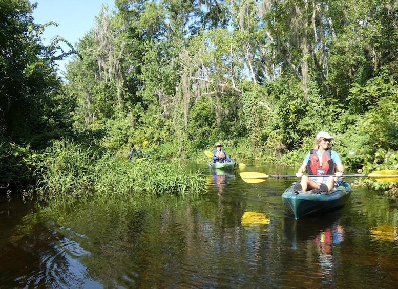 Orlando: Small Group Scenic Wekiva River Kayak Tour