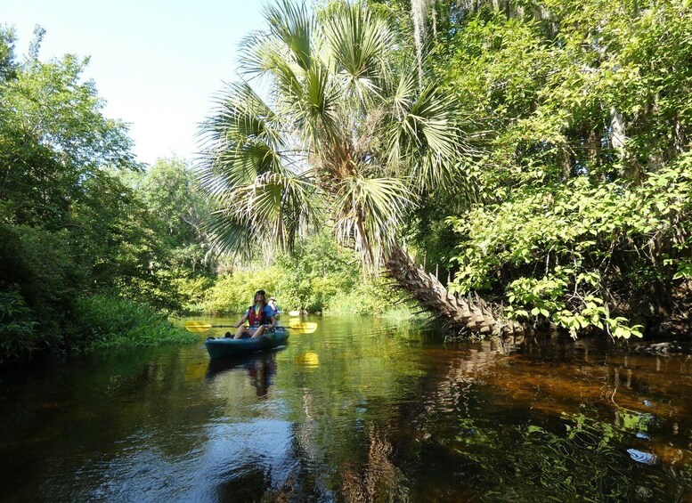 Picture 7 for Activity Orlando: Small Group Scenic Wekiva River Kayak Tour