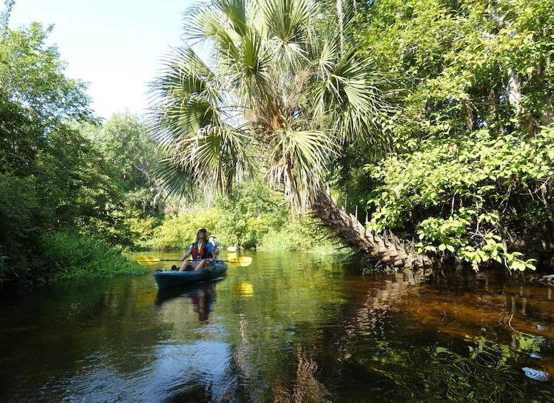 Picture 7 for Activity Orlando: Small Group Scenic Wekiva River Kayak Tour
