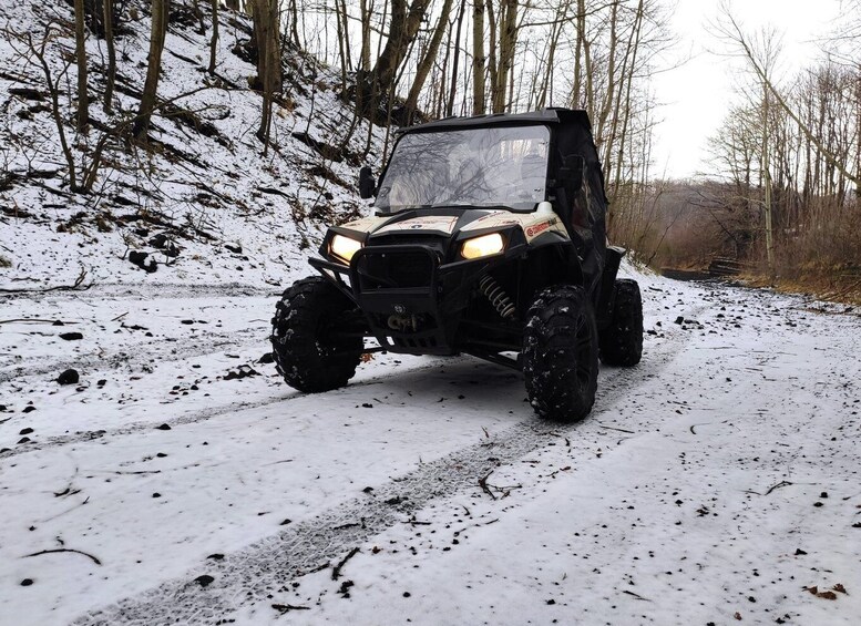 Picture 5 for Activity Etna Buggy 4x4 Tour