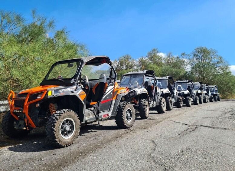 Picture 4 for Activity Etna Buggy 4x4 Tour